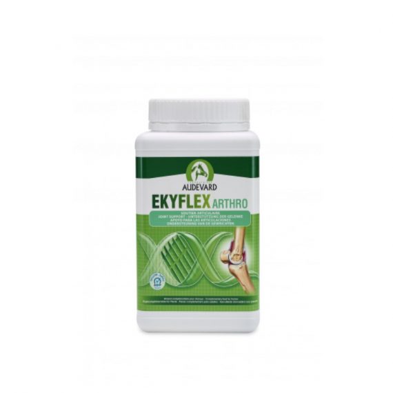 3º) Ekyflex Arthro 1 Kgs 8x8