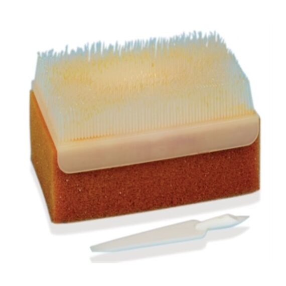 CeiYODO..8x8in título