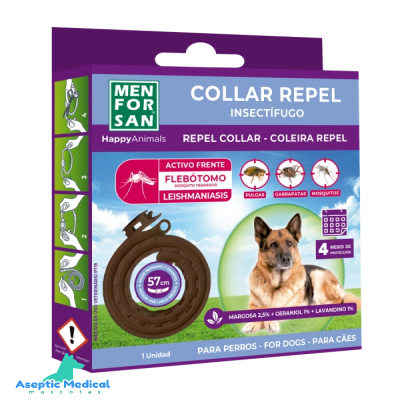COLLAR PERRO 800X800