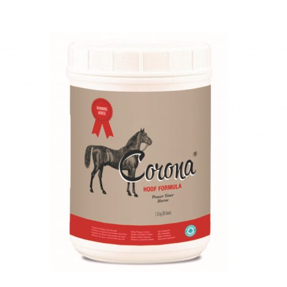 2º) CORONA HF 1,35 Kg 800X800