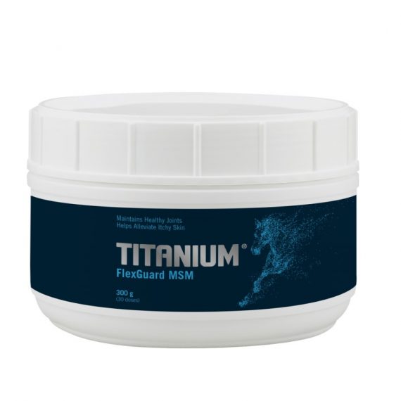 42º) TITANIUM FlexGuard MSM 300g 800x800
