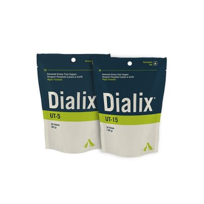 DIALIX-UT 800X800