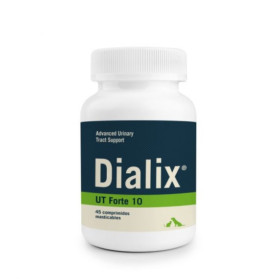 DIALIX UT FORTE 800X800