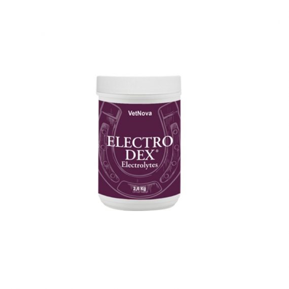 ELECTRO-DEX-Electrolytes-26kg 800x800