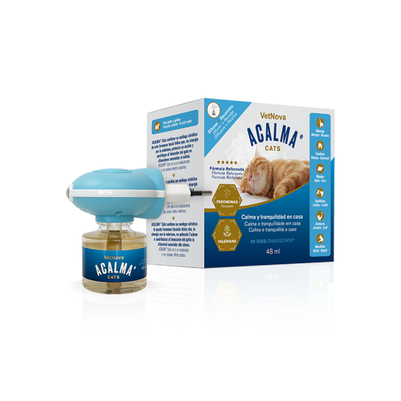 bodegón-ACALMA-800x800